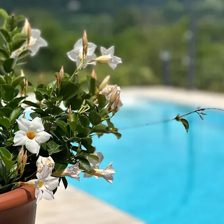 Residenza Di Borgo Moretti *